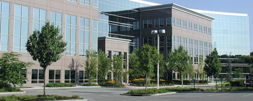 Office Building Real Estate Clients